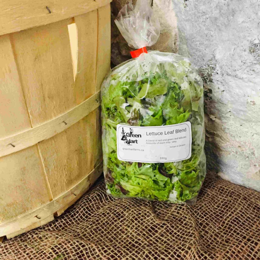 Lettuce Blend (180g)