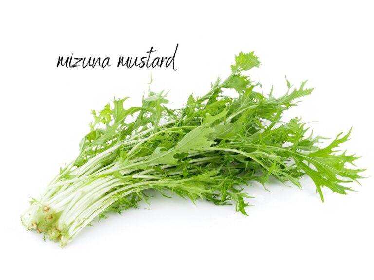 Mizuna Mustard (bunch)
