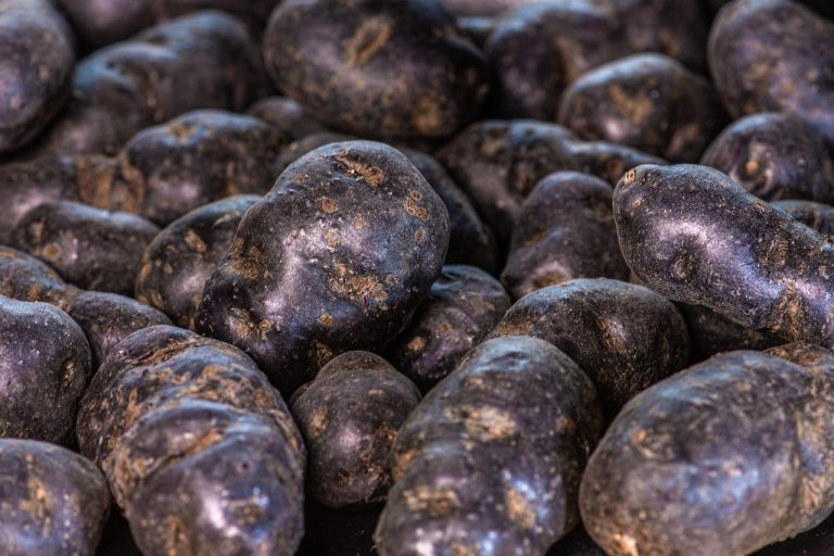 Potato- Huckleberry Gold (qrt)