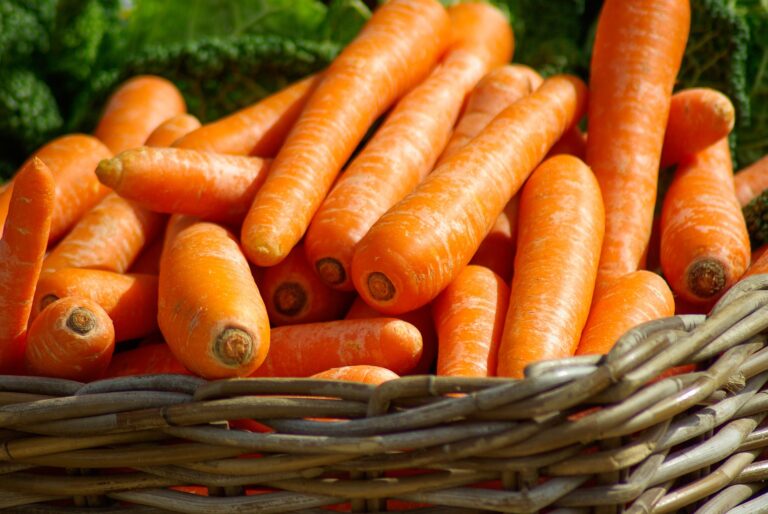 Carrots-no tops, from Elmira (Conv) (for 5-6)