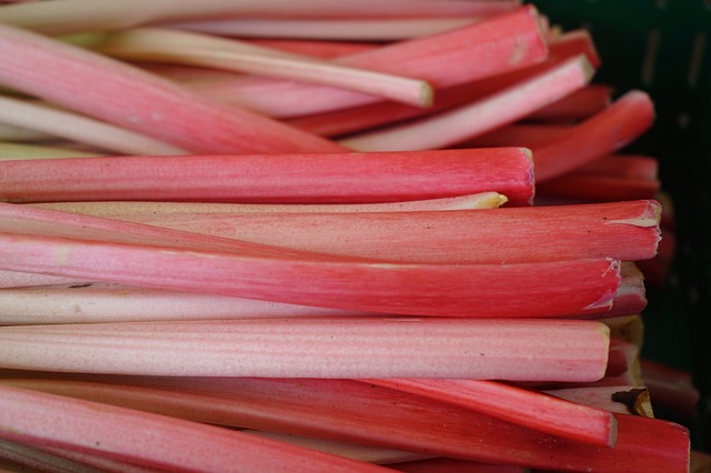 Rhubarb Recipes to Enjoy This Season