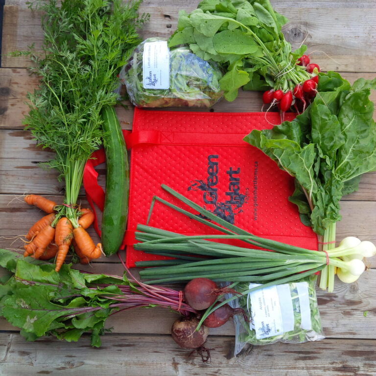 Spring/Summer 2026 Veggie Box- Medium