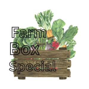 Veggie Box Special