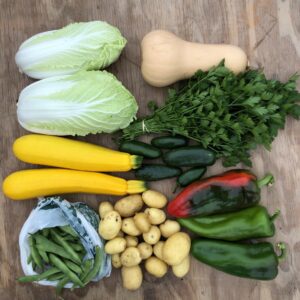 Peak Harvest Share- Large