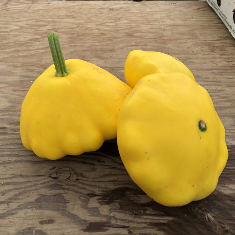 Summer Squash: Pattipan (for 1lg or 2-3 smaller)