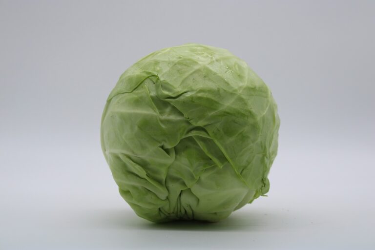 Cabbage (mini)