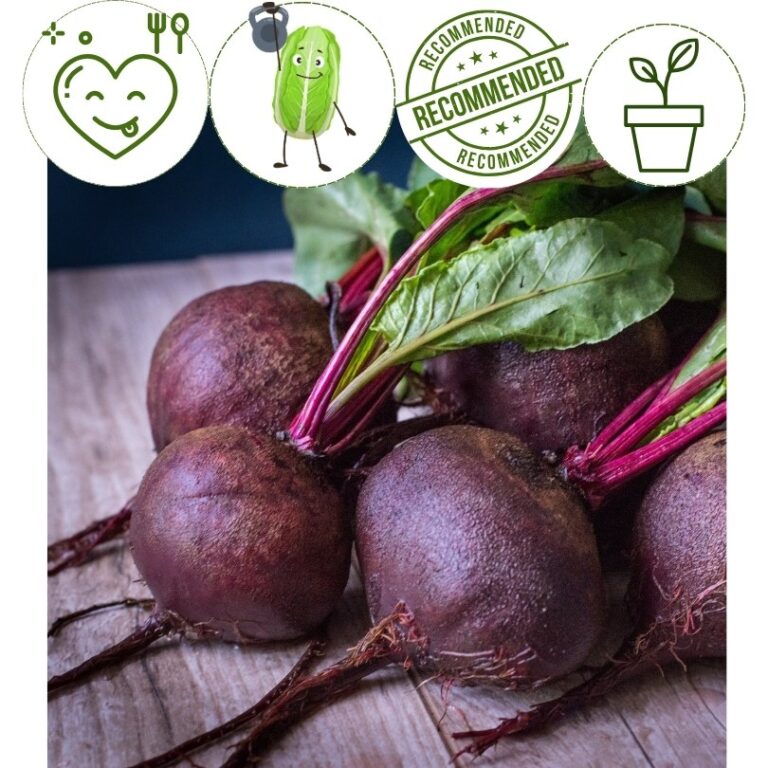 Beet-Merlin (4 pack)