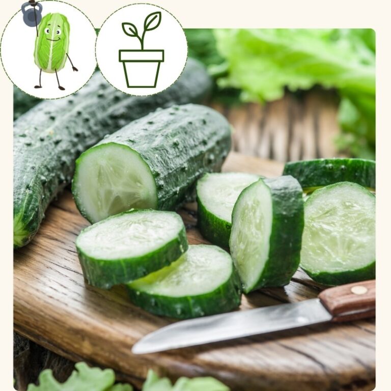 Cucumber-Patio Snacker (4 inch pot)