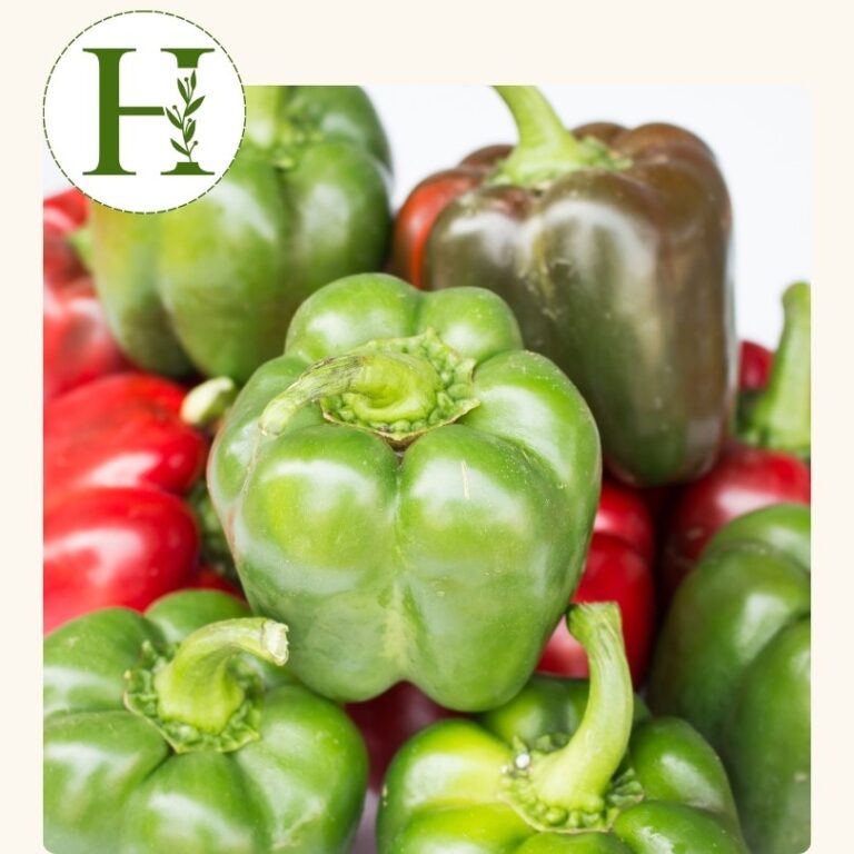 Pepper (Sweet)- Early Calwonder (4 inch pot)