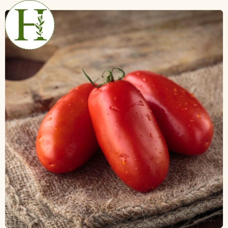 San Marzano (4 inch pot)