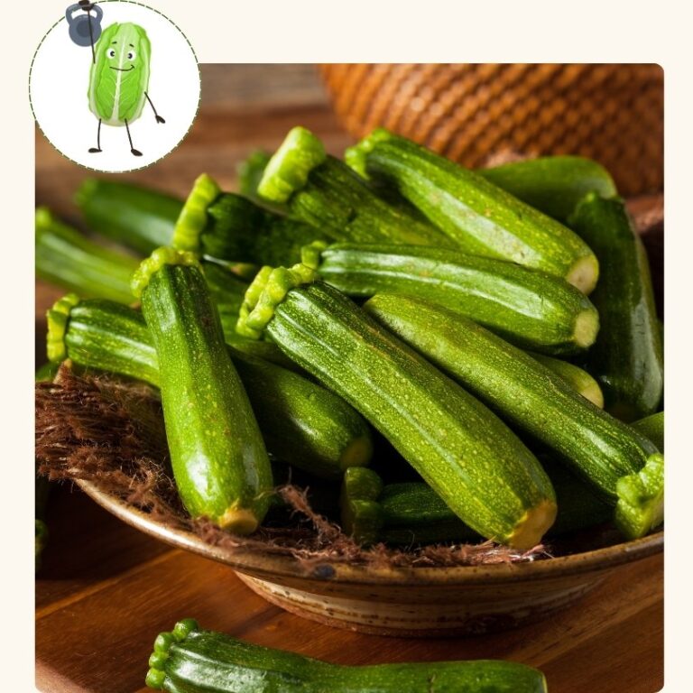 Squash-Zucchini, Dunja (4 inch pot)