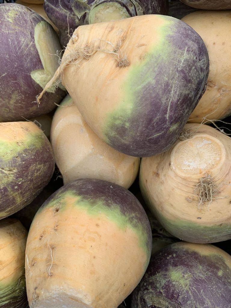 Rutabaga (ea)(From Elmira, conv)