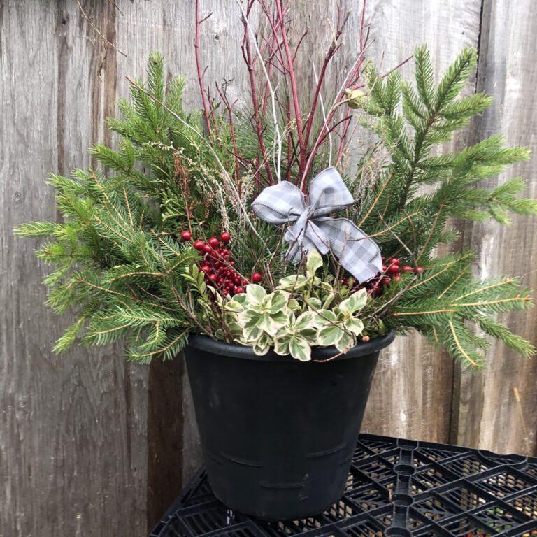 Red and White 12″ Planter