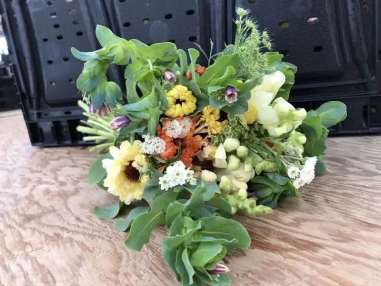 Mini Bouquet: 10-15 stems, mixed (different each week)