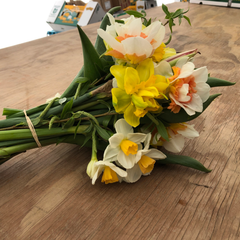 Daffodil Bouquet