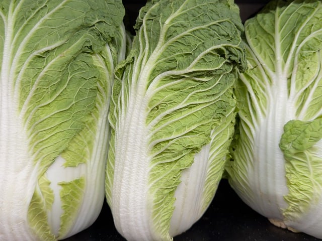 Cabbage, Napa-green-med (ea)